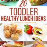 20 Easy And Healthy Lunch Ideas for Kids